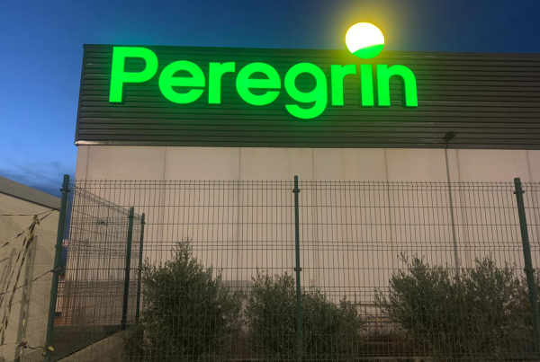 letras corpóreas con iluminación
